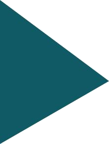 Vector 1 (1)